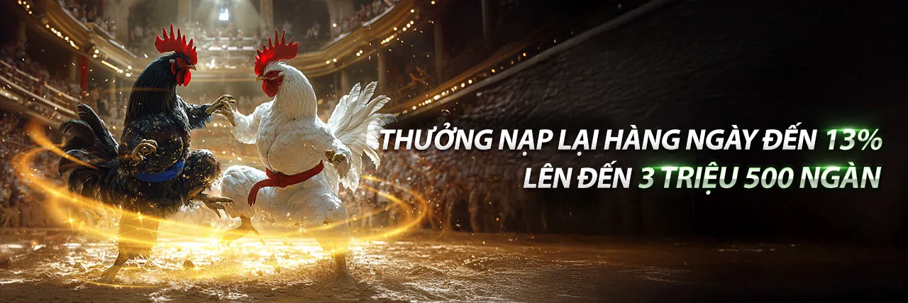 Đá Gà 99.co - Trận đấu gà kịch tính